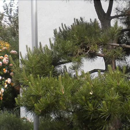 호텔 린들라인뮐레 3*